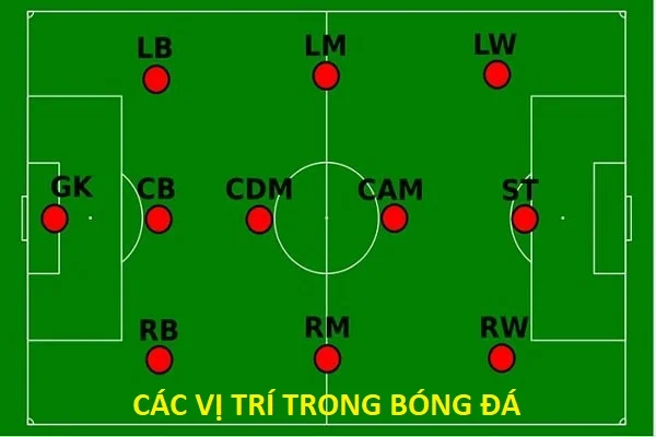 Các vị trí trong bóng đá Các vị trí trong bóng đá:Tên gọi, ký hiệu viết tắt, vai trò, ý nghĩa
