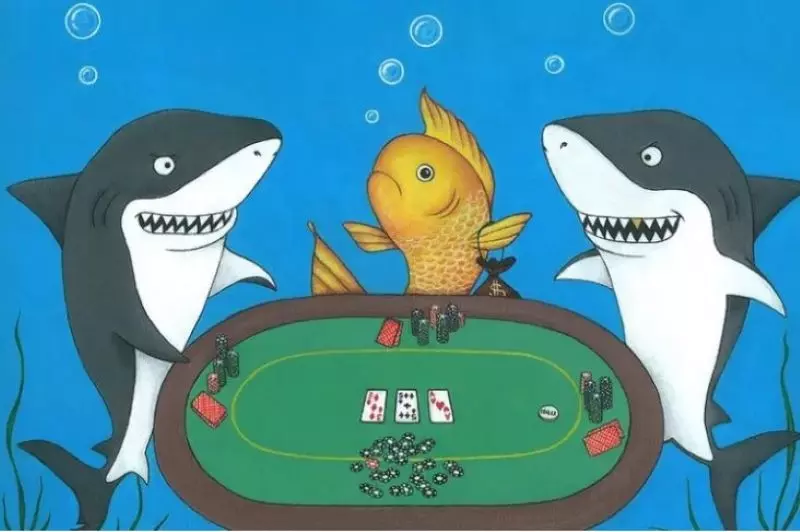 Fish trong Poker là gì và cách nhận biết khi chơi game