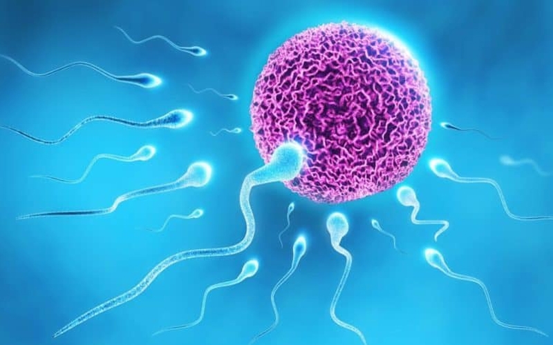 Giải đáp thắc mắc: Tinh trùng loãng có thụ thai được không?