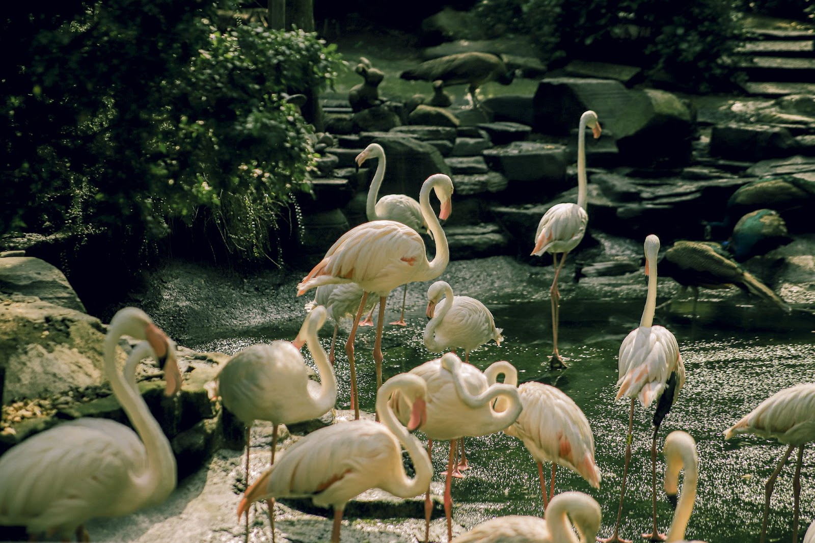 Không gian xanh Thảo Cầm Viên